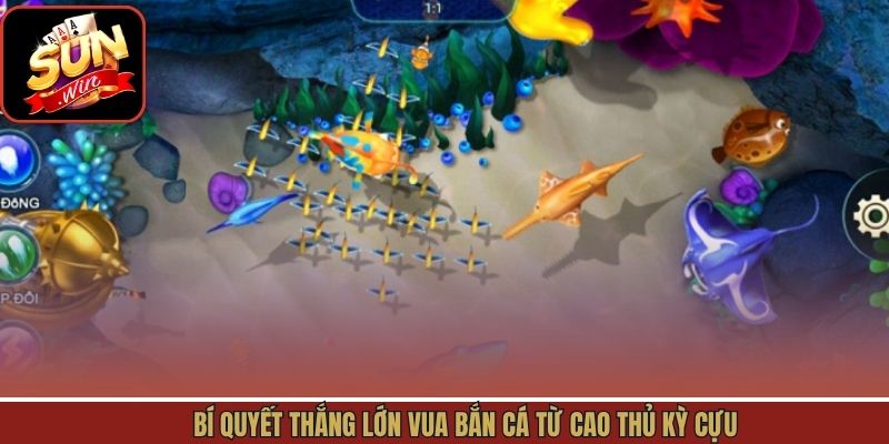 Chiến lược hữu ích khi tham gia vào vua bắn cá tại Sunwin