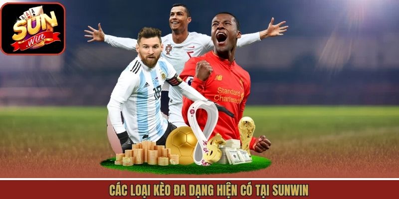 Các loại hình giải trí thuộc bộ môn bóng đá