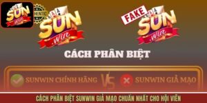 Cách Phân Biệt Sunwin Giả Mạo Chuẩn Nhất Cho Hội Viên