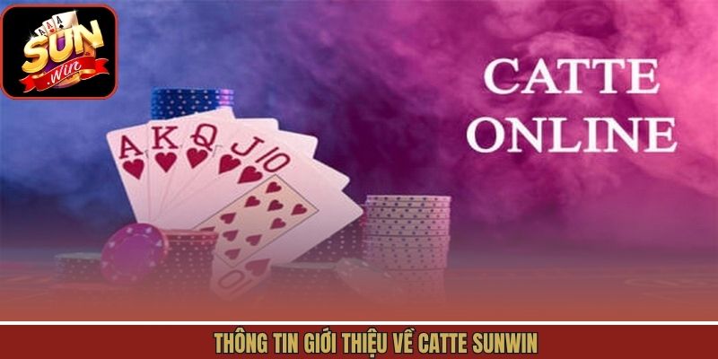 Thông tin giới thiệu về Catte Sunwin